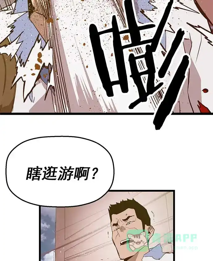 第113页