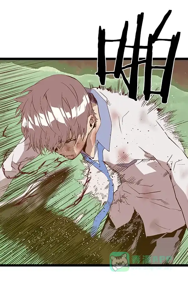 第95页