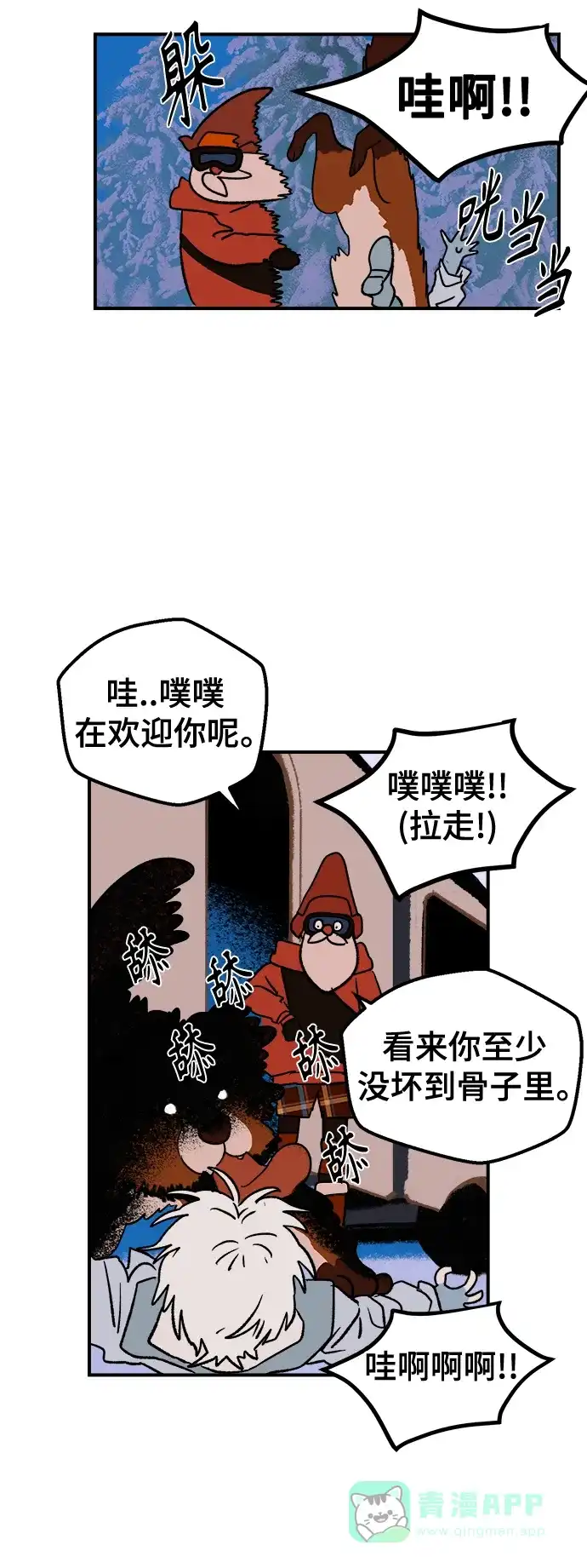第51页