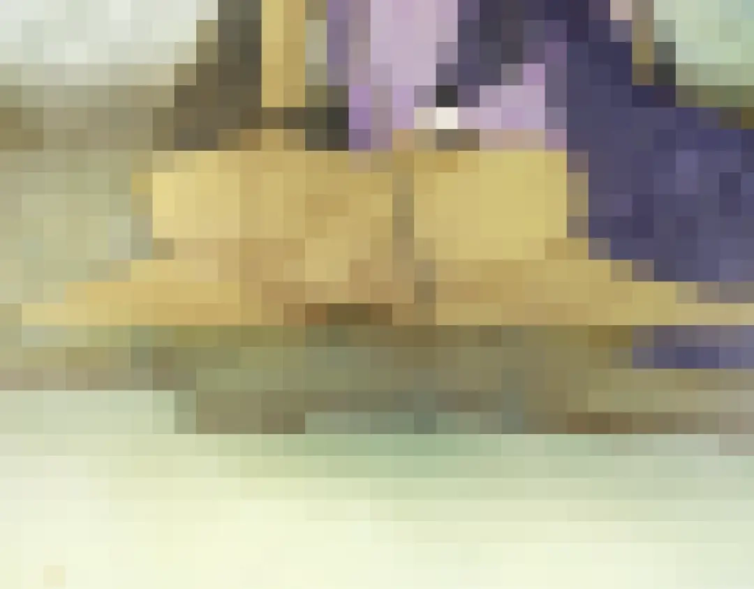 第95页