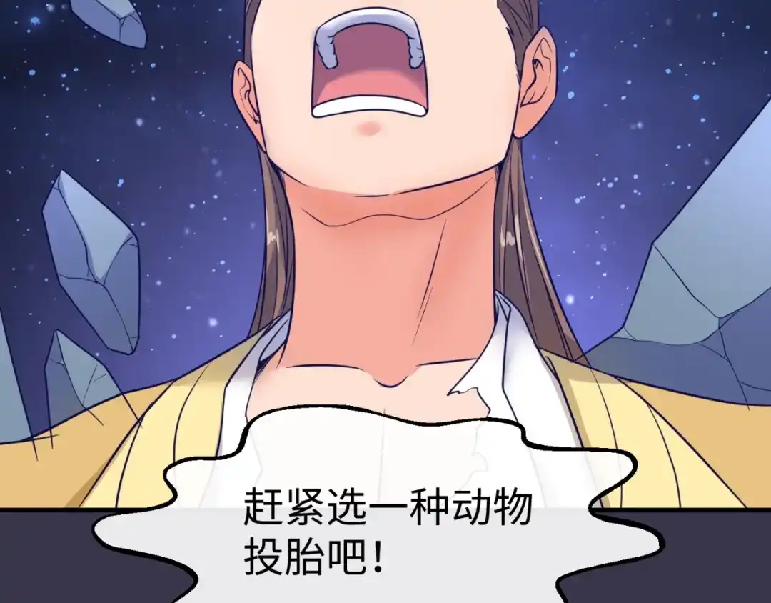 第260页