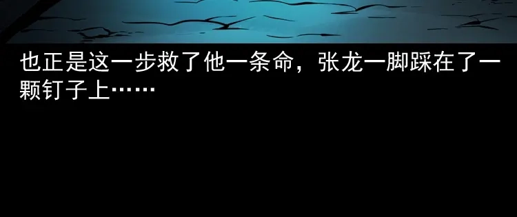 第207页