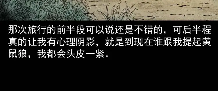 第181页