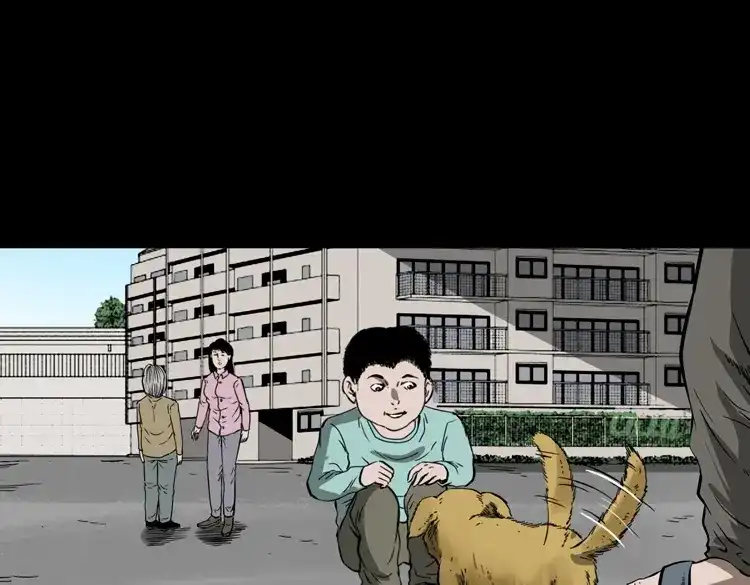 第52页