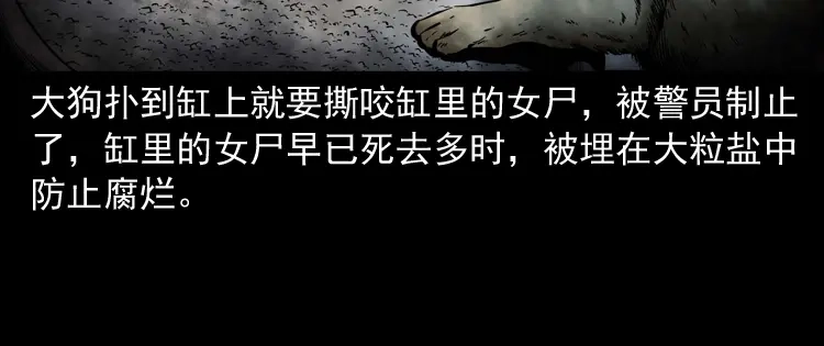 第185页