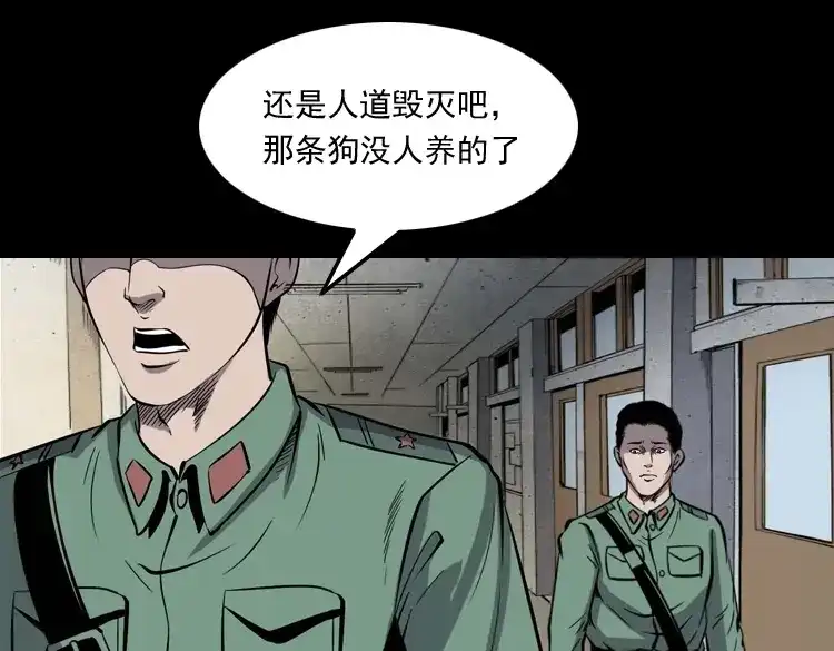 第194页