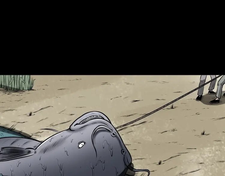 第206页