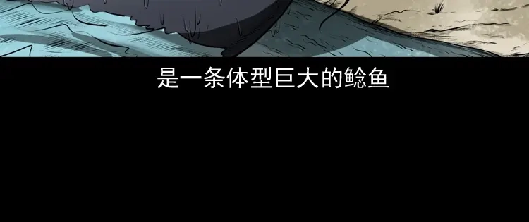 第207页