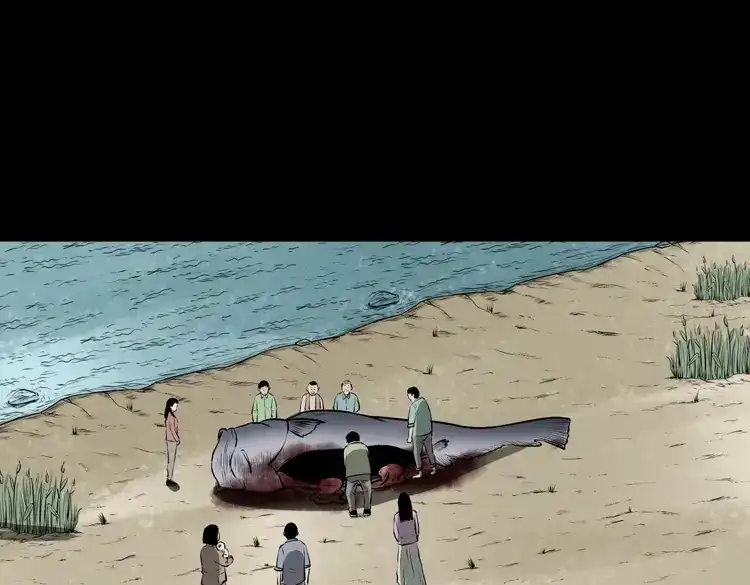 第210页