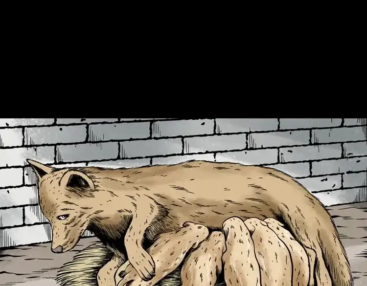第114页