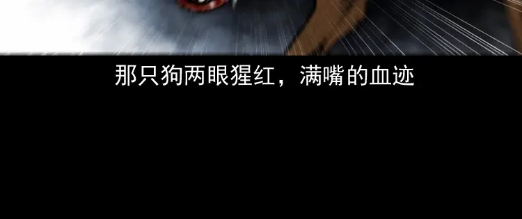 第185页