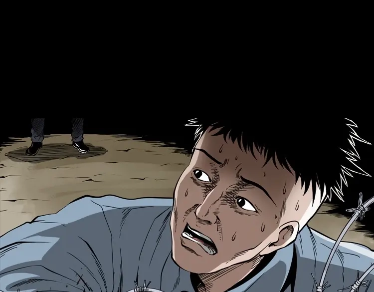 第195页
