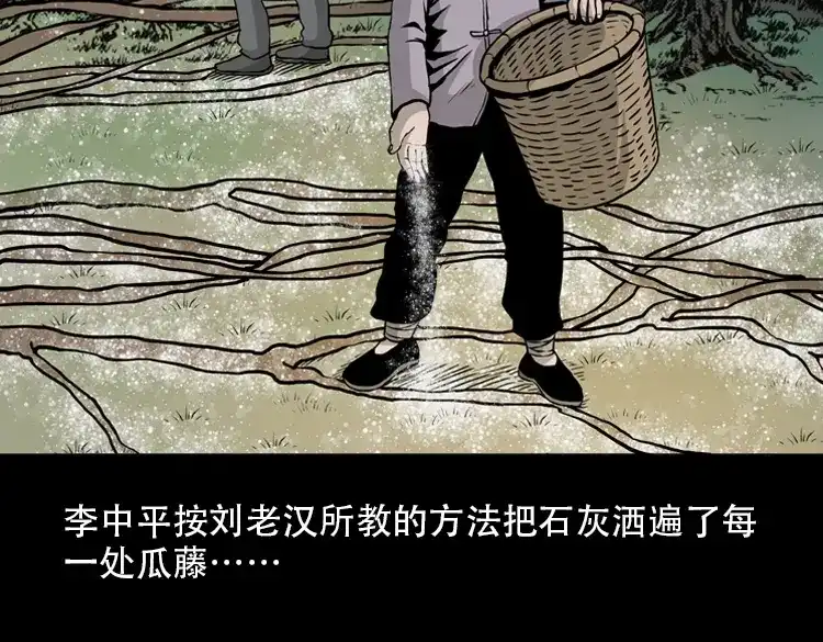第204页