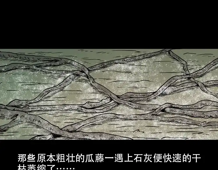 第206页