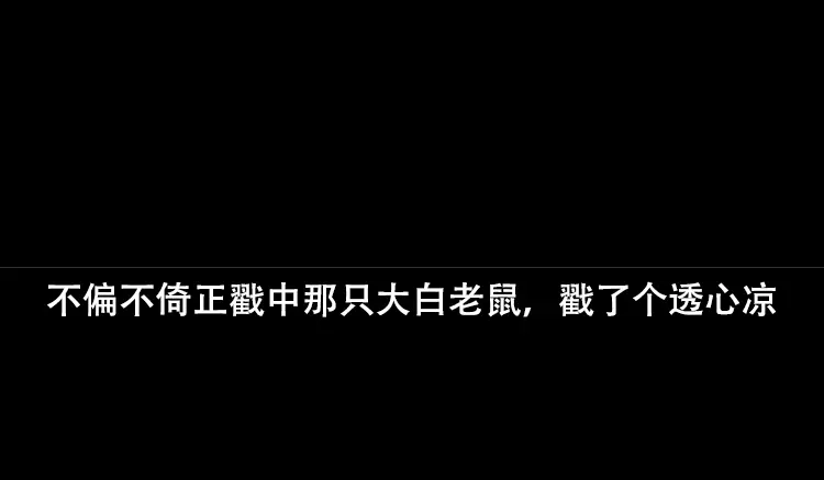 第206页