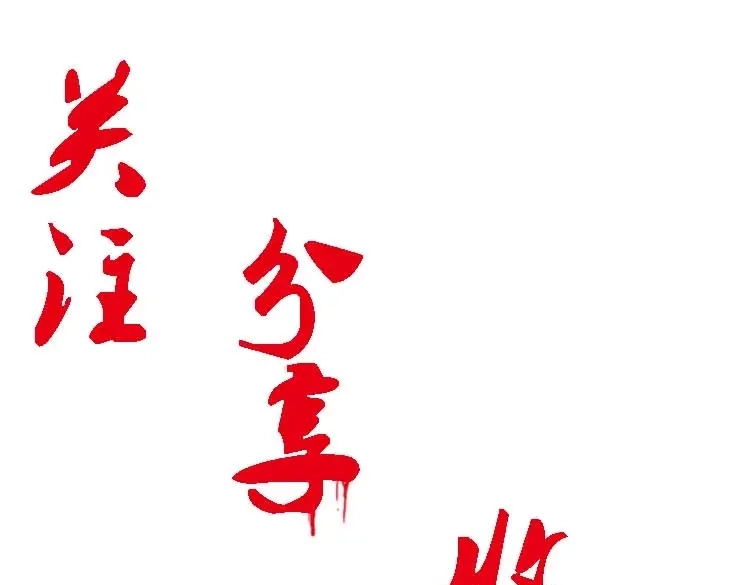 第205页