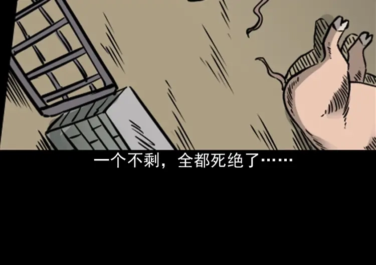 第198页