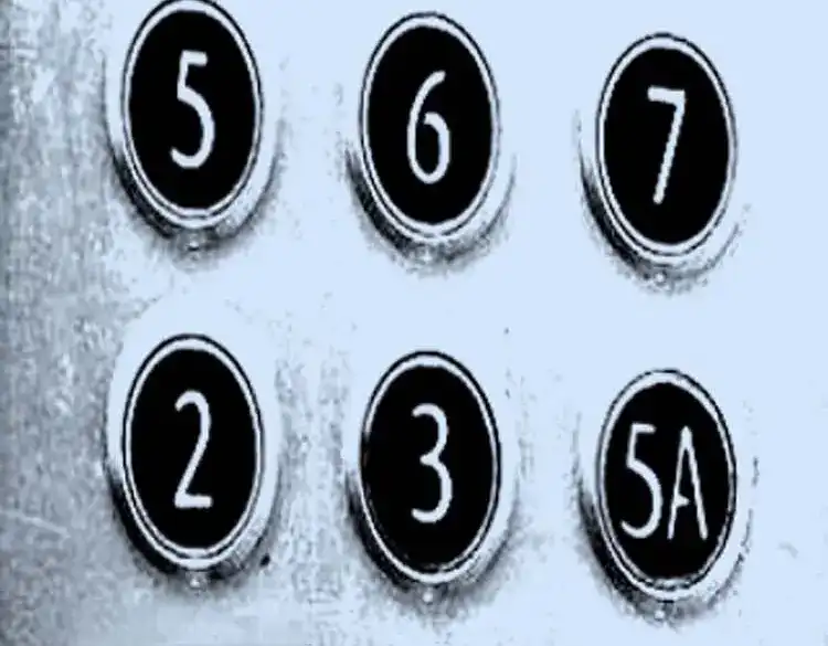 第81页