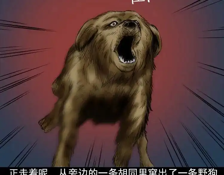 第146页