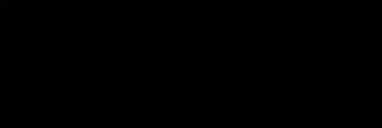 第204页
