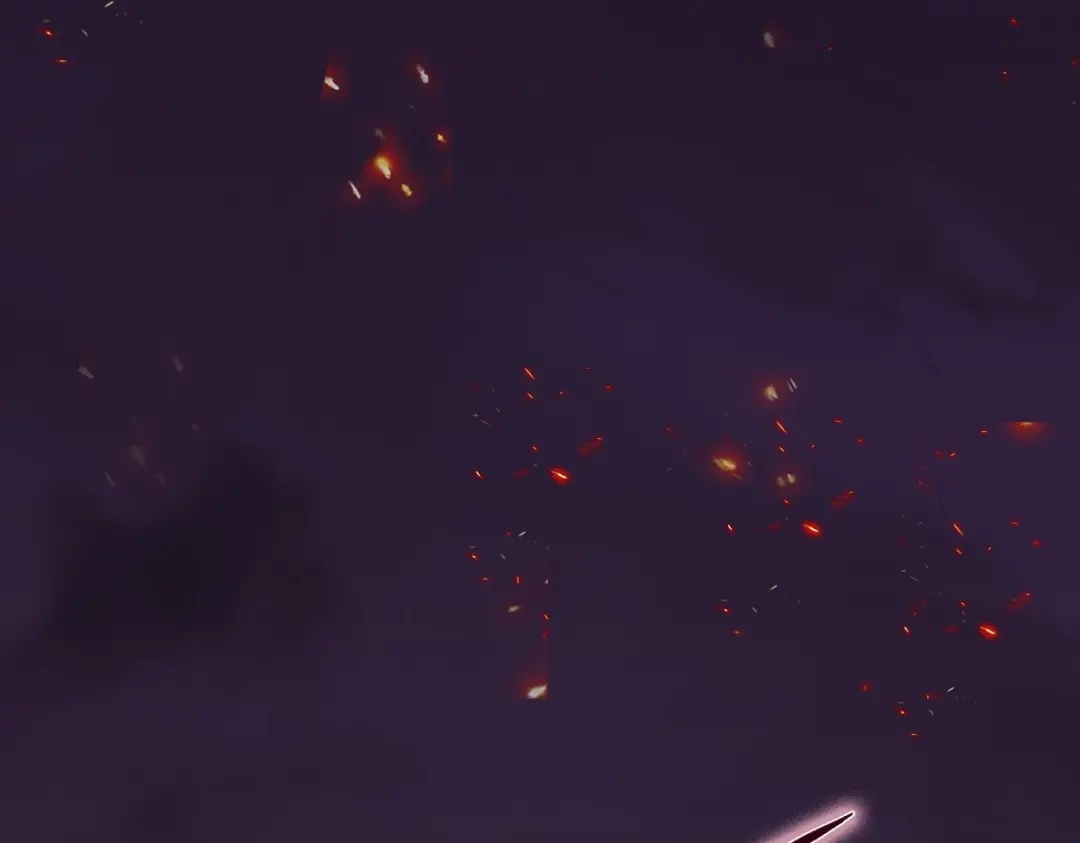 第238页