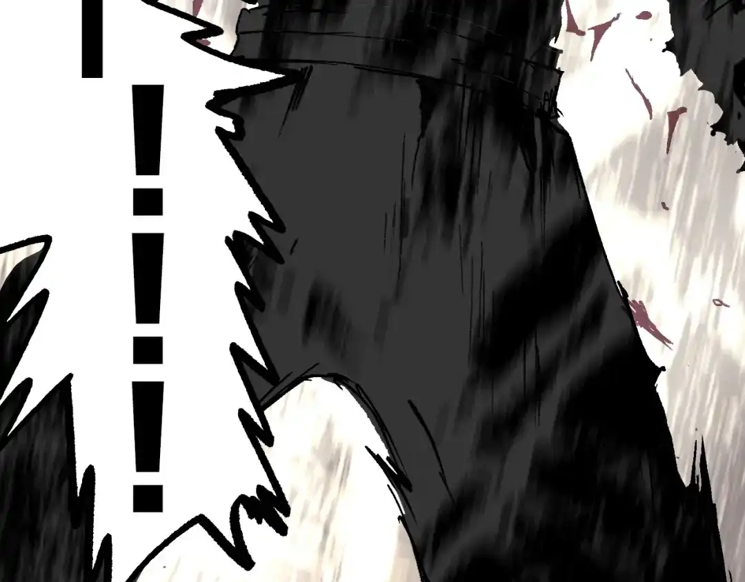 第194页