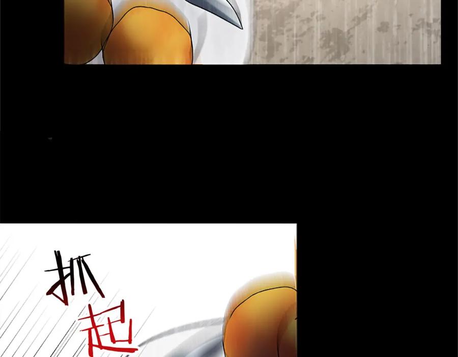 第196页