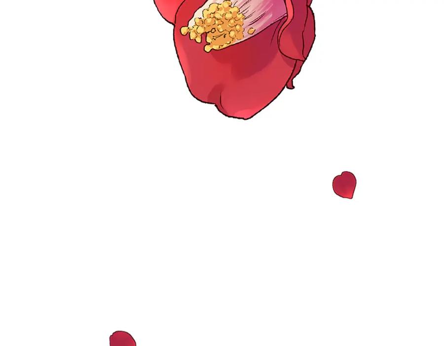 第215页