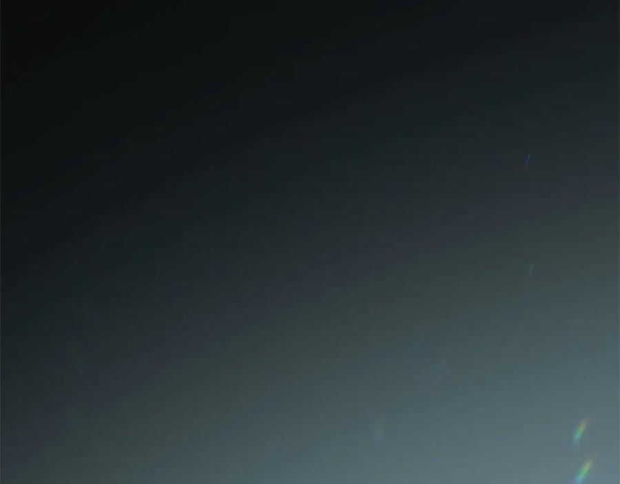 第223页