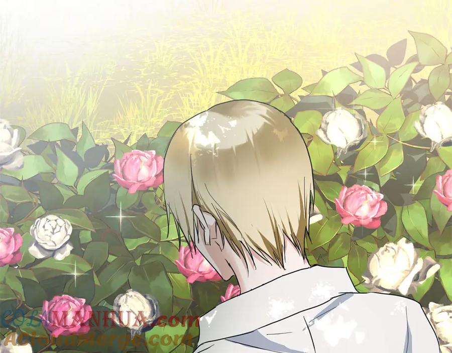 第233页