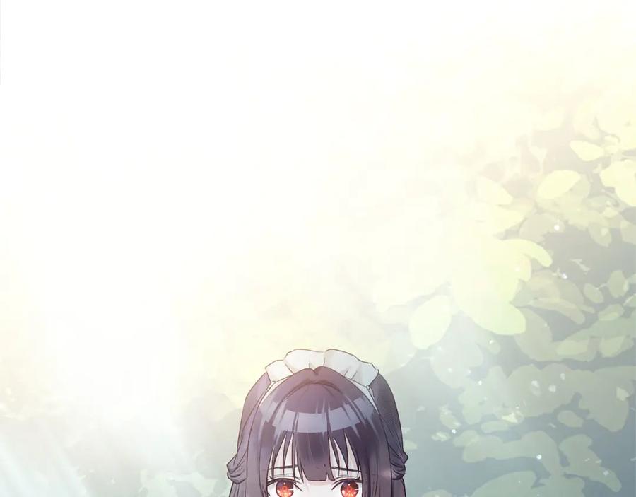 第242页