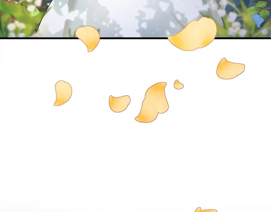 第244页