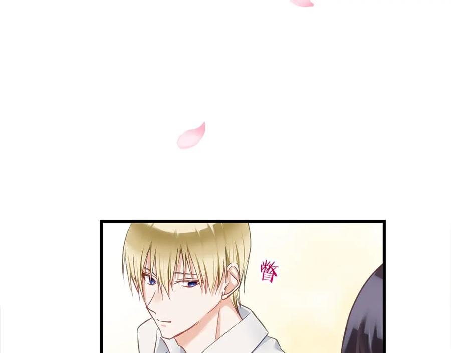 第204页