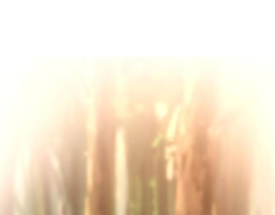 第206页