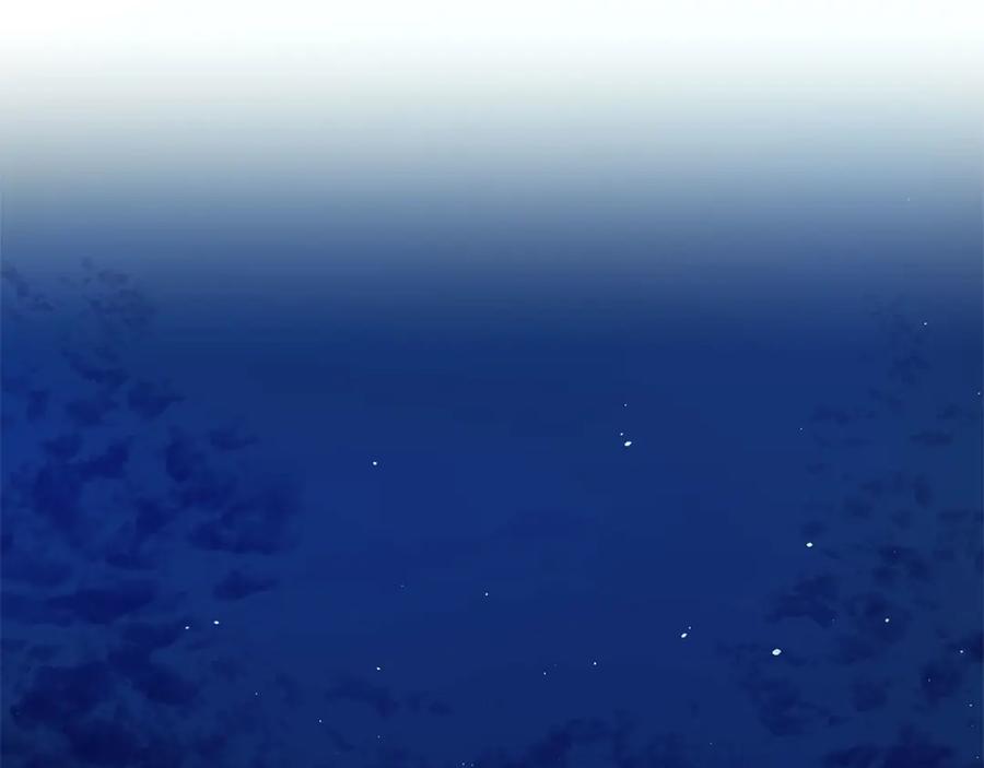 第224页