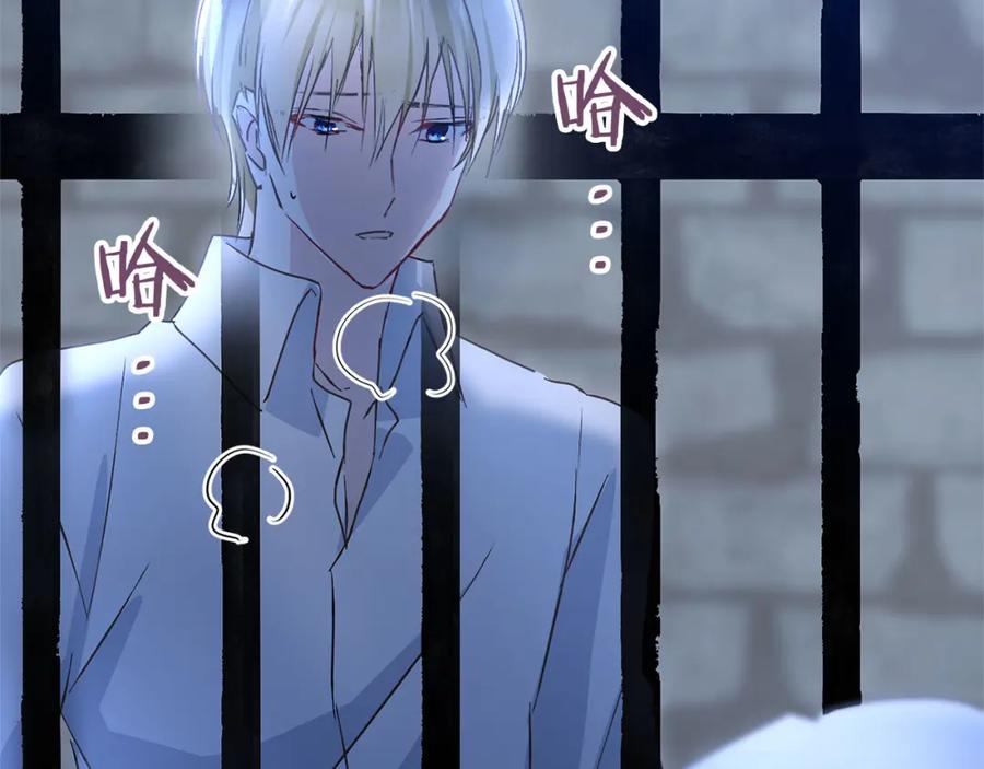 第242页