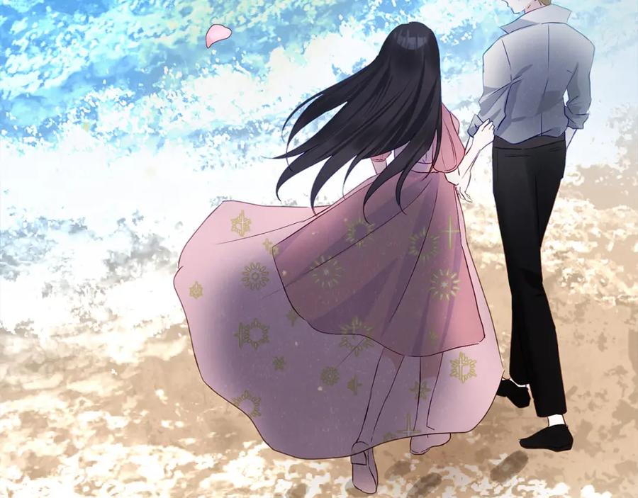 第204页