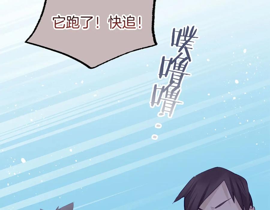第206页