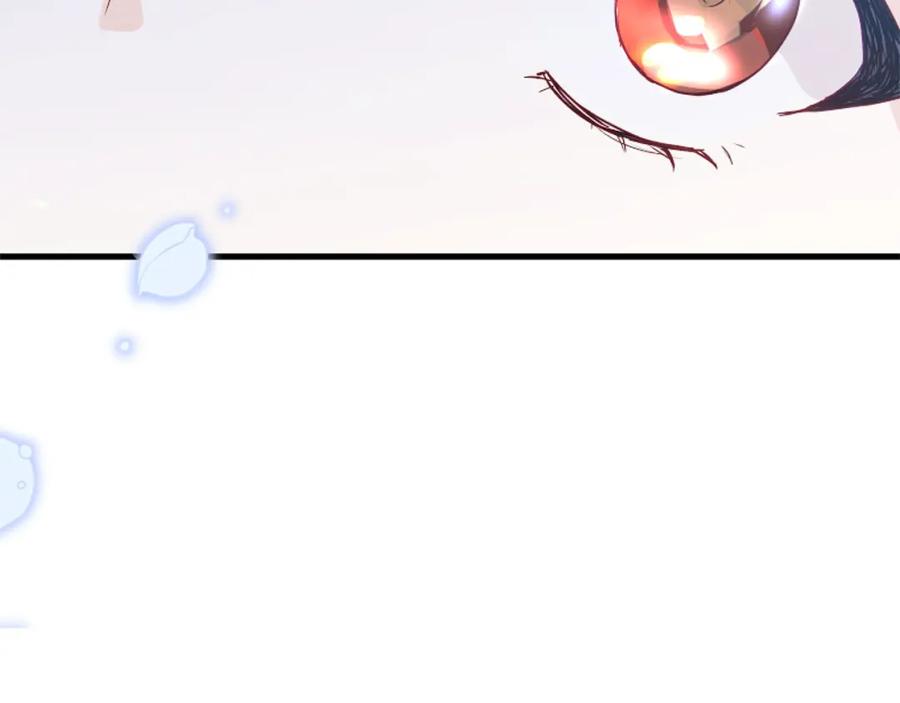 第238页