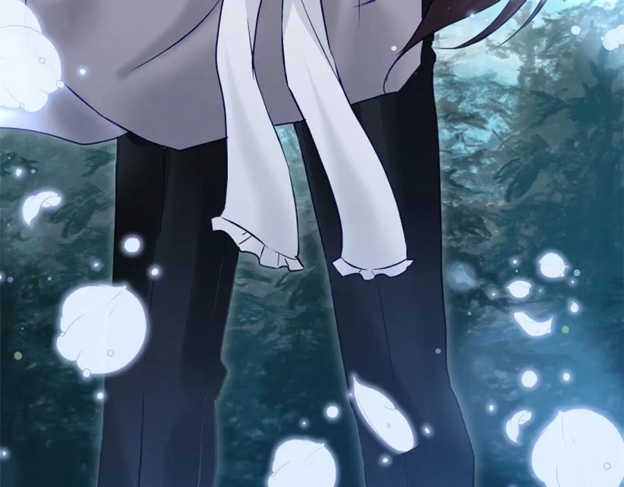第247页