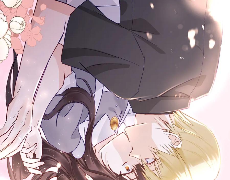 第224页