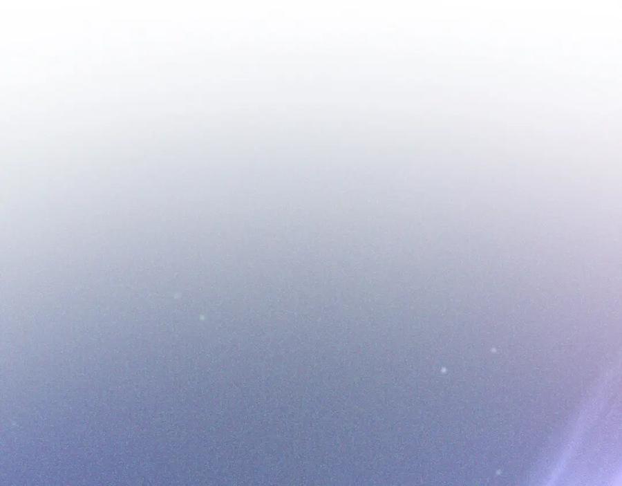 第219页
