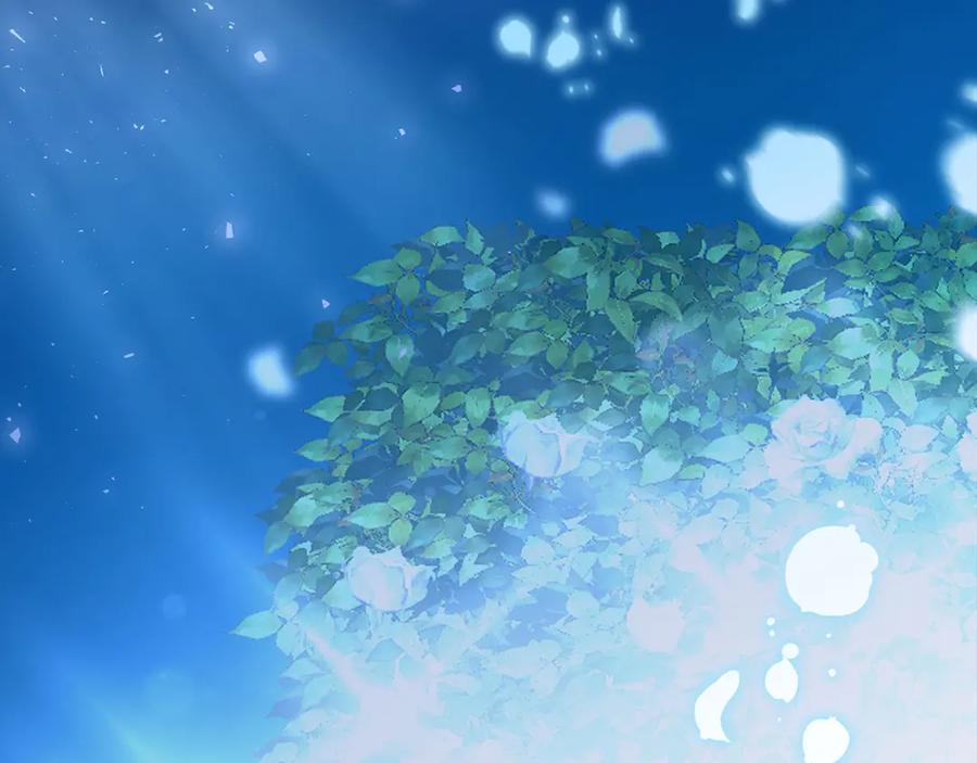 第214页
