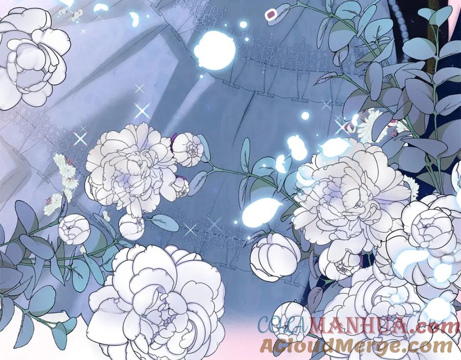 第217页