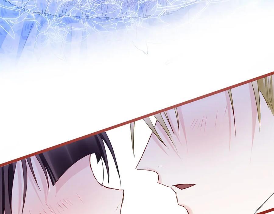 第242页