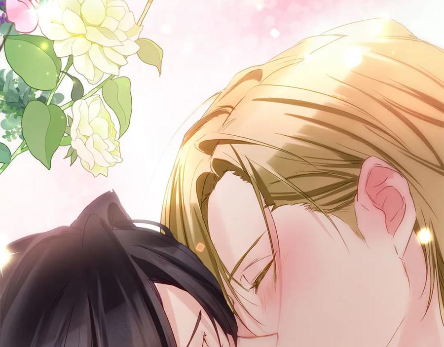 第244页
