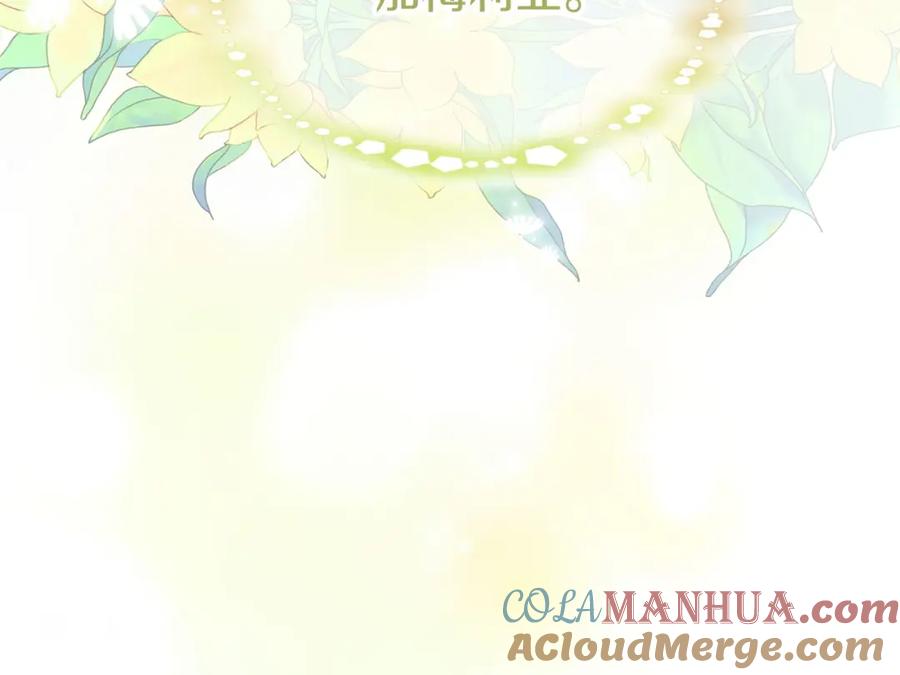 第213页
