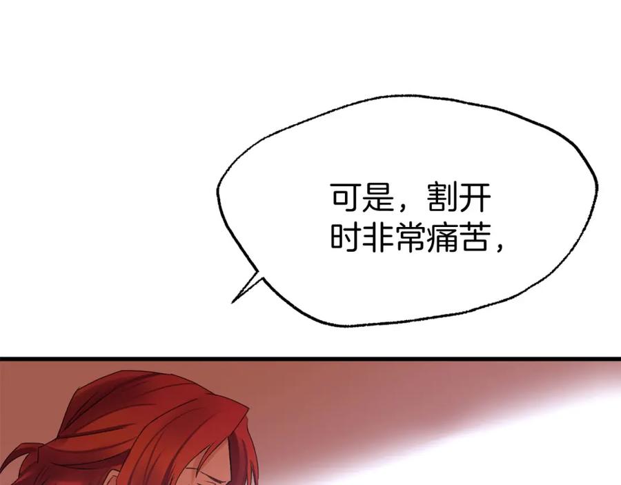 第211页