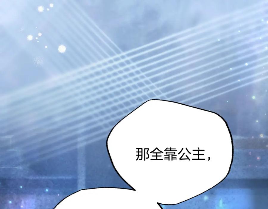 第223页