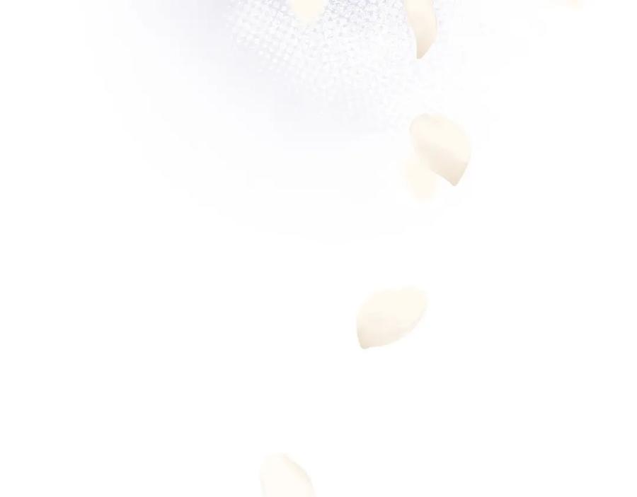 第206页